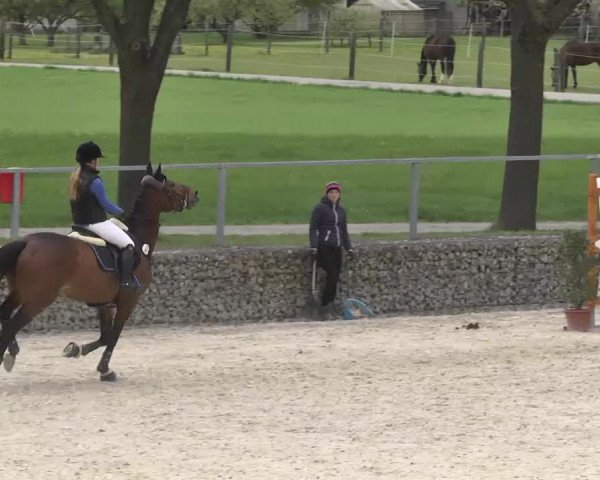 Frühjahrsturnier Ingolstadt Hagau 2017