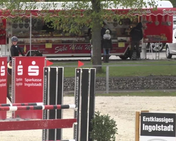 Frühjahrsturnier Ingolstadt Hagau 2017