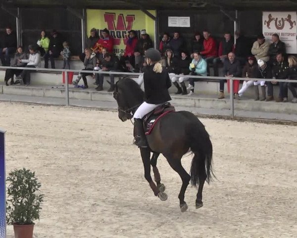 Frühjahrsturnier Ingolstadt Hagau 2017