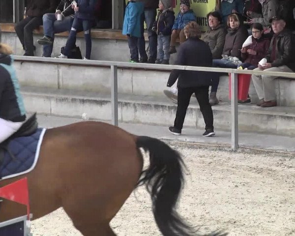 Frühjahrsturnier Ingolstadt Hagau 2017