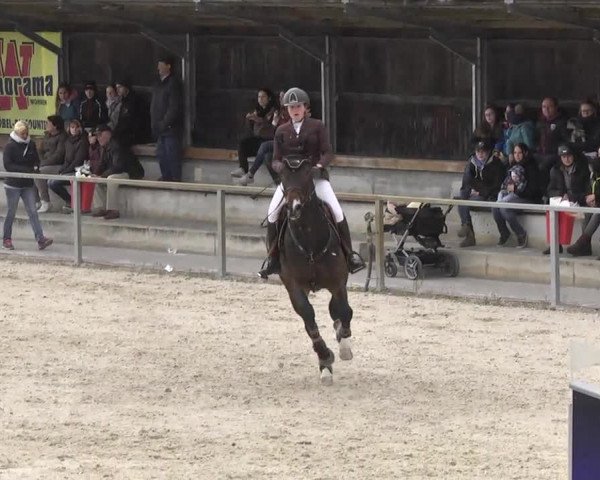 Frühjahrsturnier Ingolstadt Hagau 2017