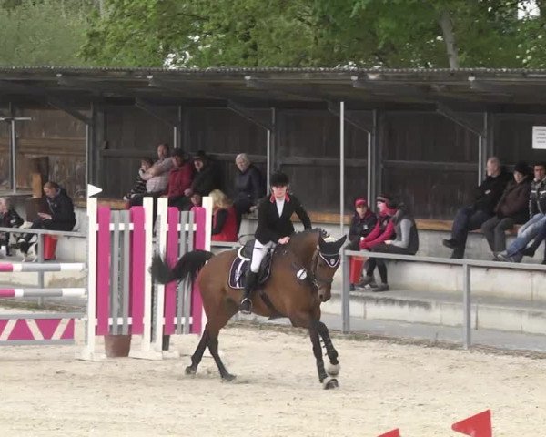 Frühjahrsturnier Ingolstadt Hagau 2017