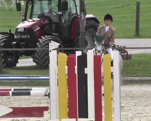 Frühjahrsturnier Ingolstadt Hagau 2017
