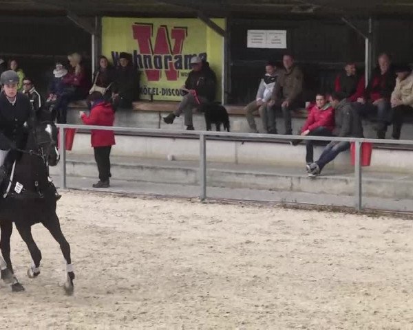 Frühjahrsturnier Ingolstadt Hagau 2017