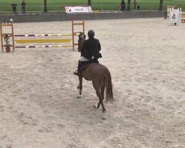 Frühjahrsturnier Ingolstadt Hagau 2017