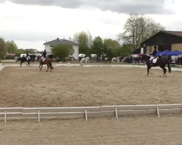 Frühjahrsturnier Ingolstadt Hagau 2017