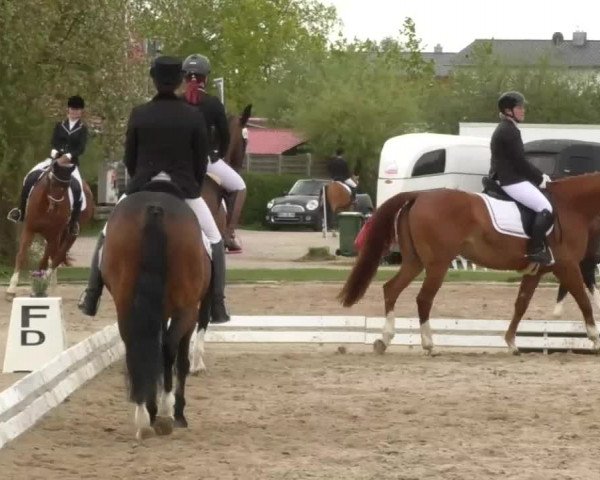Frühjahrsturnier Ingolstadt Hagau 2017