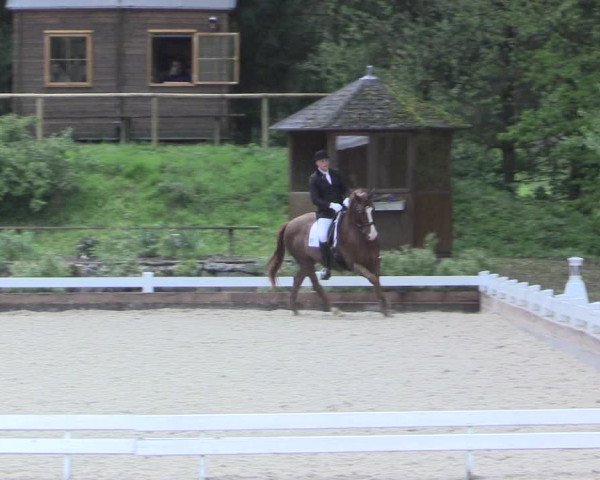Reitturnier Mettmann - Reitanlage Löckenhoff 2017