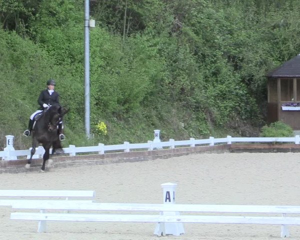 Reitturnier Mettmann - Reitanlage Löckenhoff 2017
