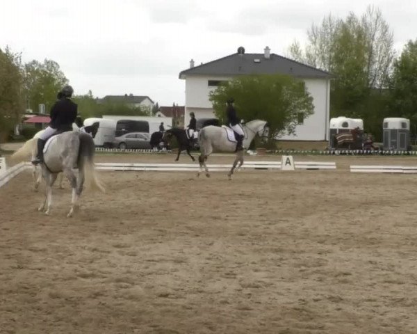 Frühjahrsturnier Ingolstadt Hagau 2017