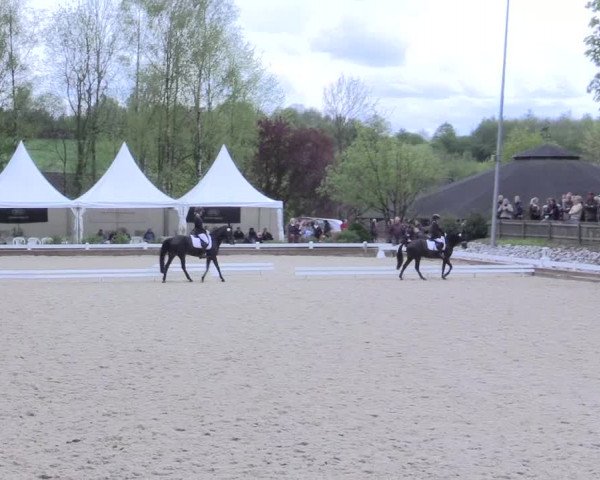 Reitturnier Mettmann - Reitanlage Löckenhoff 2017