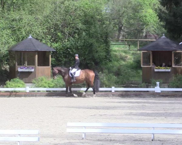 Reitturnier Mettmann - Reitanlage Löckenhoff 2017