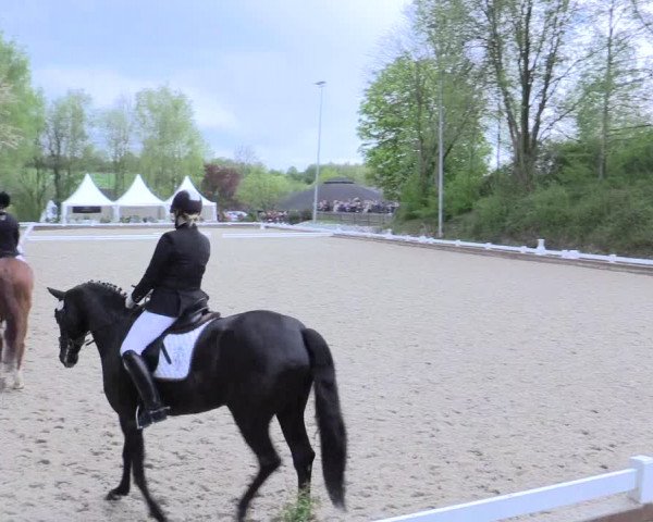 Reitturnier Mettmann - Reitanlage Löckenhoff 2017