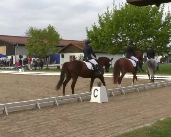 Frühjahrsturnier Ingolstadt Hagau 2017
