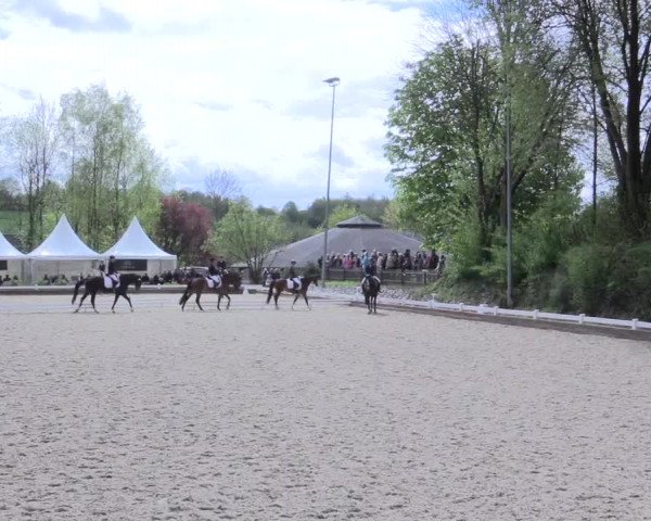 Reitturnier Mettmann - Reitanlage Löckenhoff 2017