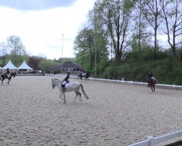 Reitturnier Mettmann - Reitanlage Löckenhoff 2017