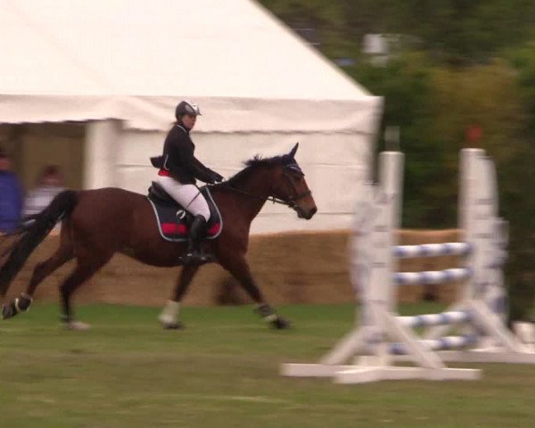 Reitturnier Kerkwitz 2017
