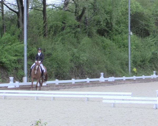 Reitturnier Mettmann - Reitanlage Löckenhoff 2017
