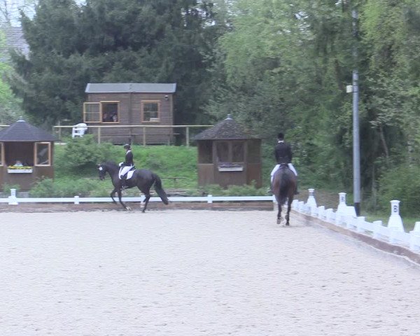 Reitturnier Mettmann - Reitanlage Löckenhoff 2017