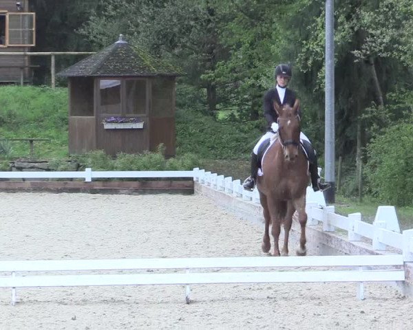 Reitturnier Mettmann - Reitanlage Löckenhoff 2017