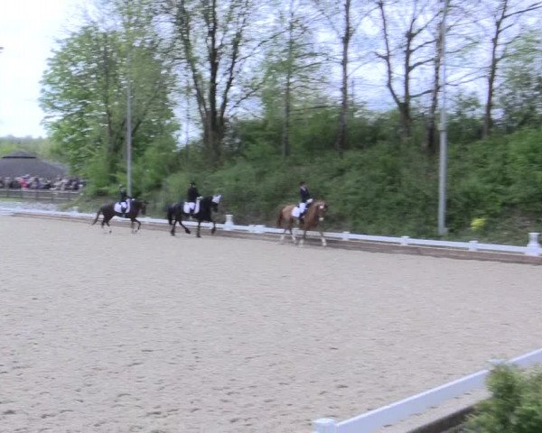 Reitturnier Mettmann - Reitanlage Löckenhoff 2017