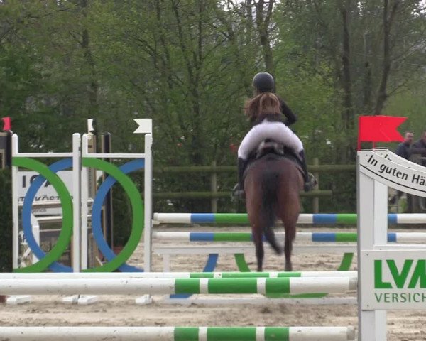 LVM Ponychampionat Münster-Nienberge 2017