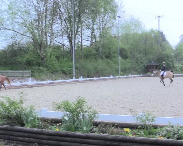 Reitturnier Mettmann - Reitanlage Löckenhoff 2017