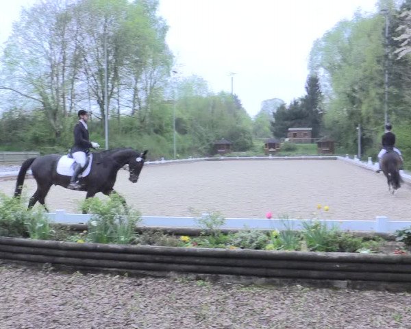 Reitturnier Mettmann - Reitanlage Löckenhoff 2017