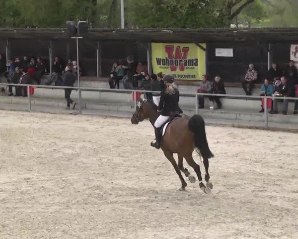 Frühjahrsturnier Ingolstadt Hagau 2017