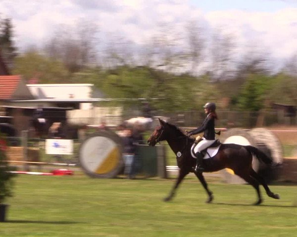 Reitturnier Kerkwitz 2017