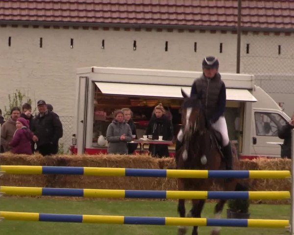 Reitturnier Kerkwitz 2017