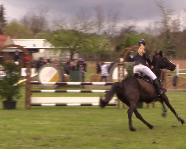 Reitturnier Kerkwitz 2017