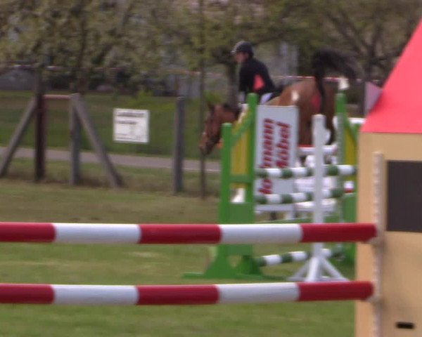 Reitturnier Kerkwitz 2017