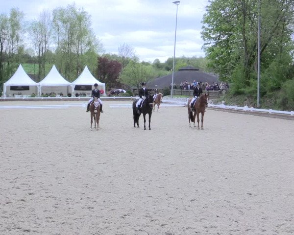 Reitturnier Mettmann - Reitanlage Löckenhoff 2017