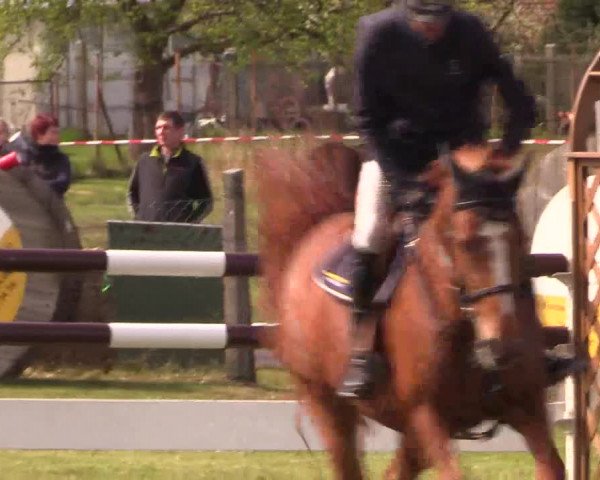 Reitturnier Kerkwitz 2017