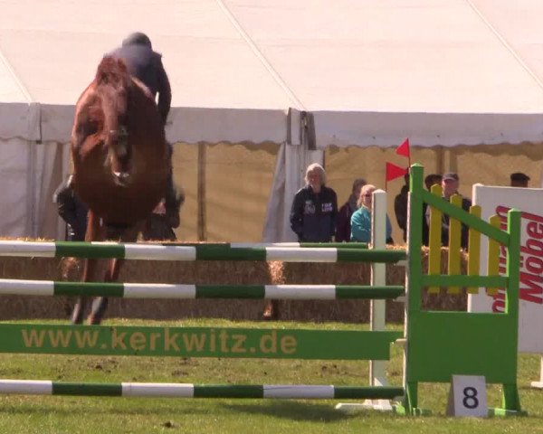 Reitturnier Kerkwitz 2017