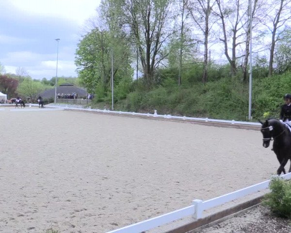 Reitturnier Mettmann - Reitanlage Löckenhoff 2017