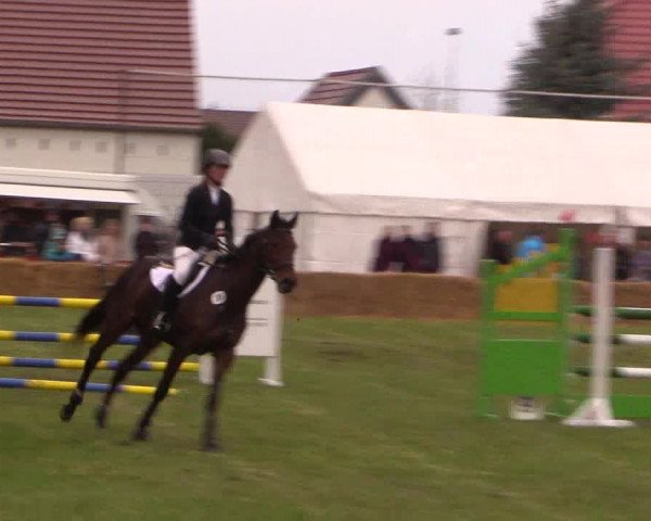 Reitturnier Kerkwitz 2017