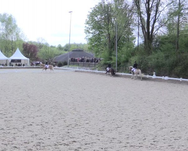 Reitturnier Mettmann - Reitanlage Löckenhoff 2017