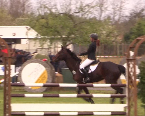 Reitturnier Kerkwitz 2017
