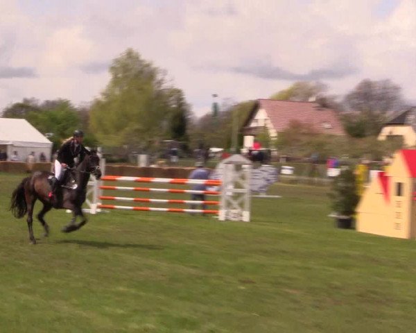 Reitturnier Kerkwitz 2017