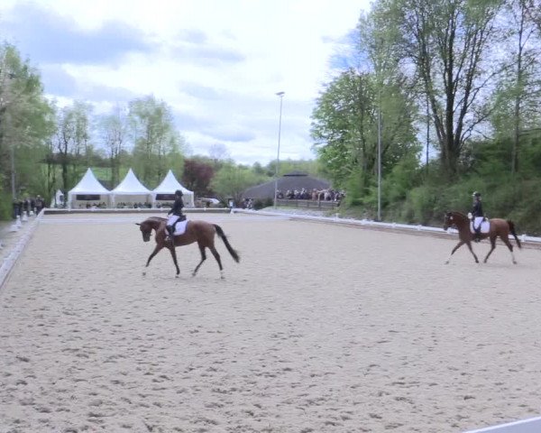 Reitturnier Mettmann - Reitanlage Löckenhoff 2017