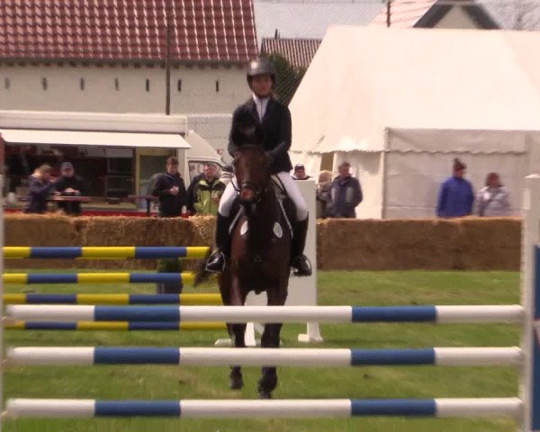 Reitturnier Kerkwitz 2017