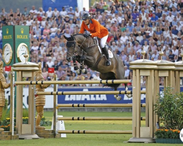 jumper Sterrehof's Baccarat (KWPN (Royal Dutch Sporthorse), 2006, from Padinus)
