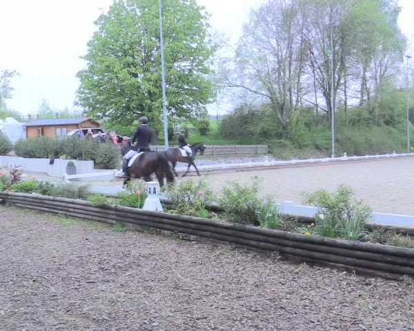 Reitturnier Mettmann - Reitanlage Löckenhoff 2017