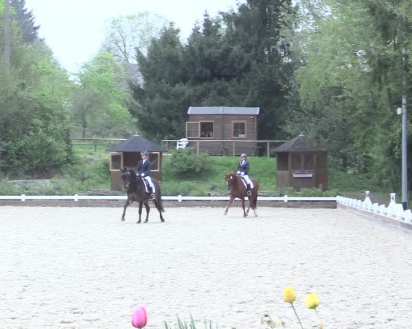 Reitturnier Mettmann - Reitanlage Löckenhoff 2017