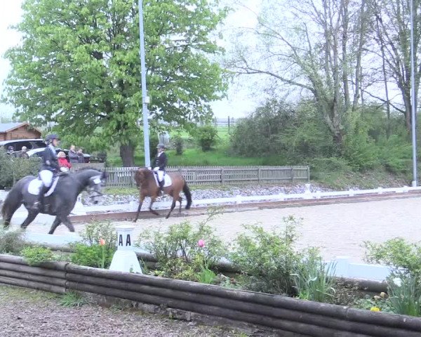 Reitturnier Mettmann - Reitanlage Löckenhoff 2017