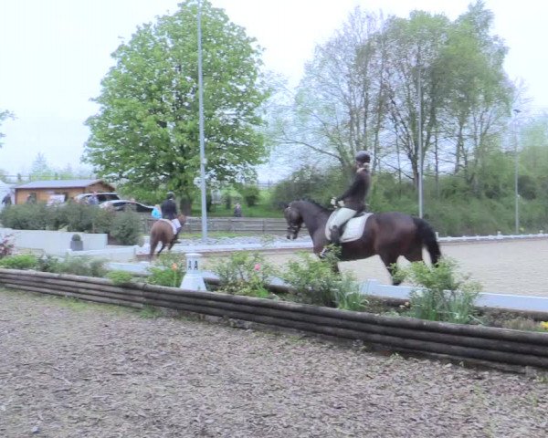 Reitturnier Mettmann - Reitanlage Löckenhoff 2017