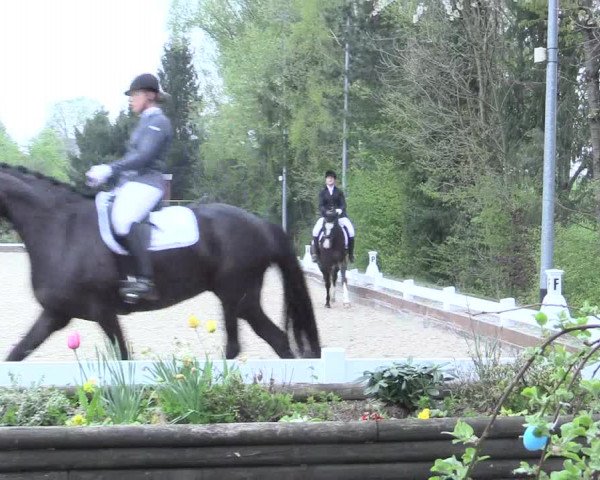 Reitturnier Mettmann - Reitanlage Löckenhoff 2017