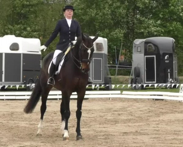 Frühjahrsturnier Ingolstadt Hagau 2017
